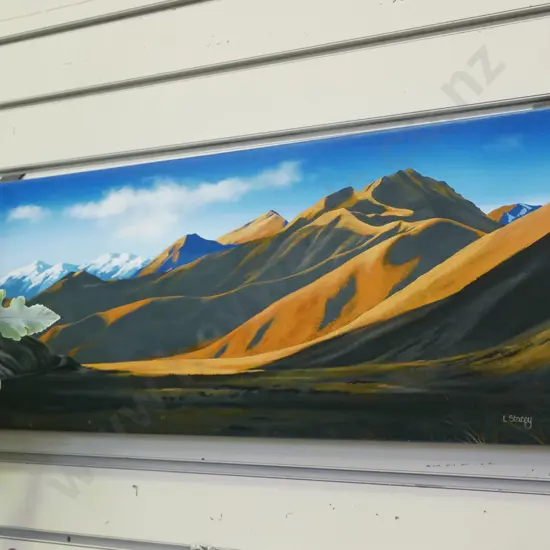 LL Stacy print on boxed canvas - Central Otago landscape