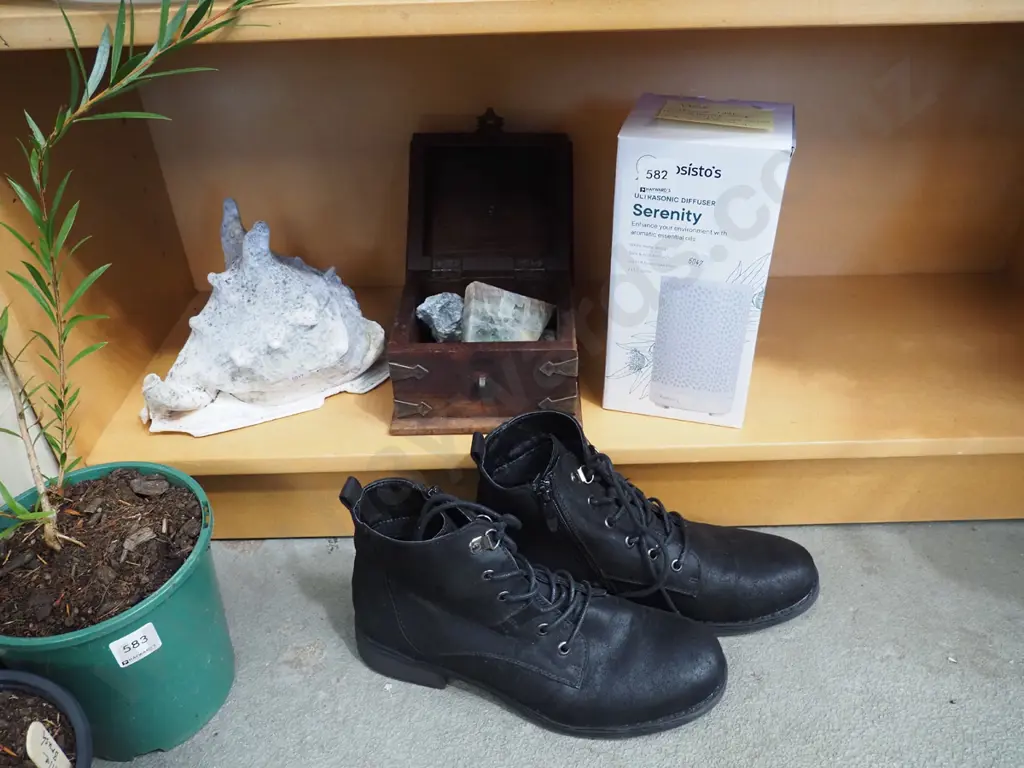 seashell, jewellery box, polished stones, diffuser etc Image 1++