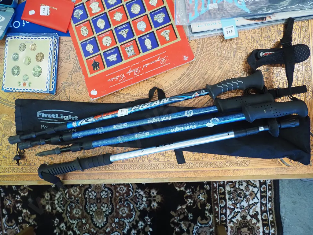 4x walking sticks Image 1++