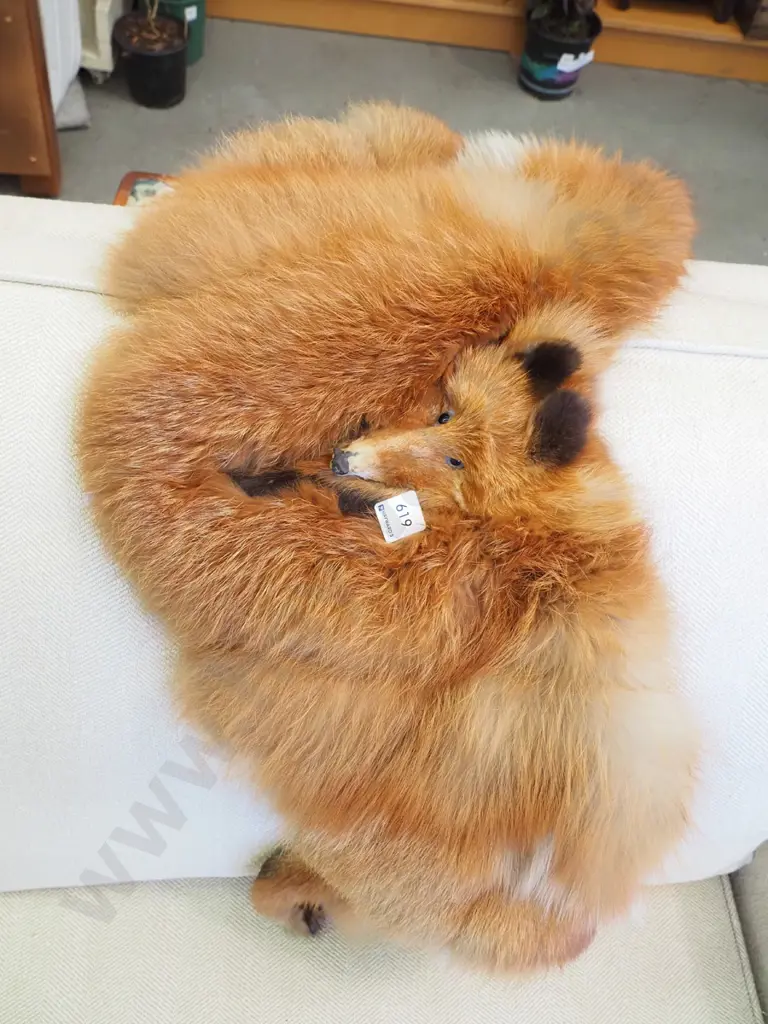 fox fur stole Image 1++