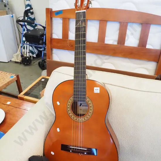 president acoustic guitar and soft carry case