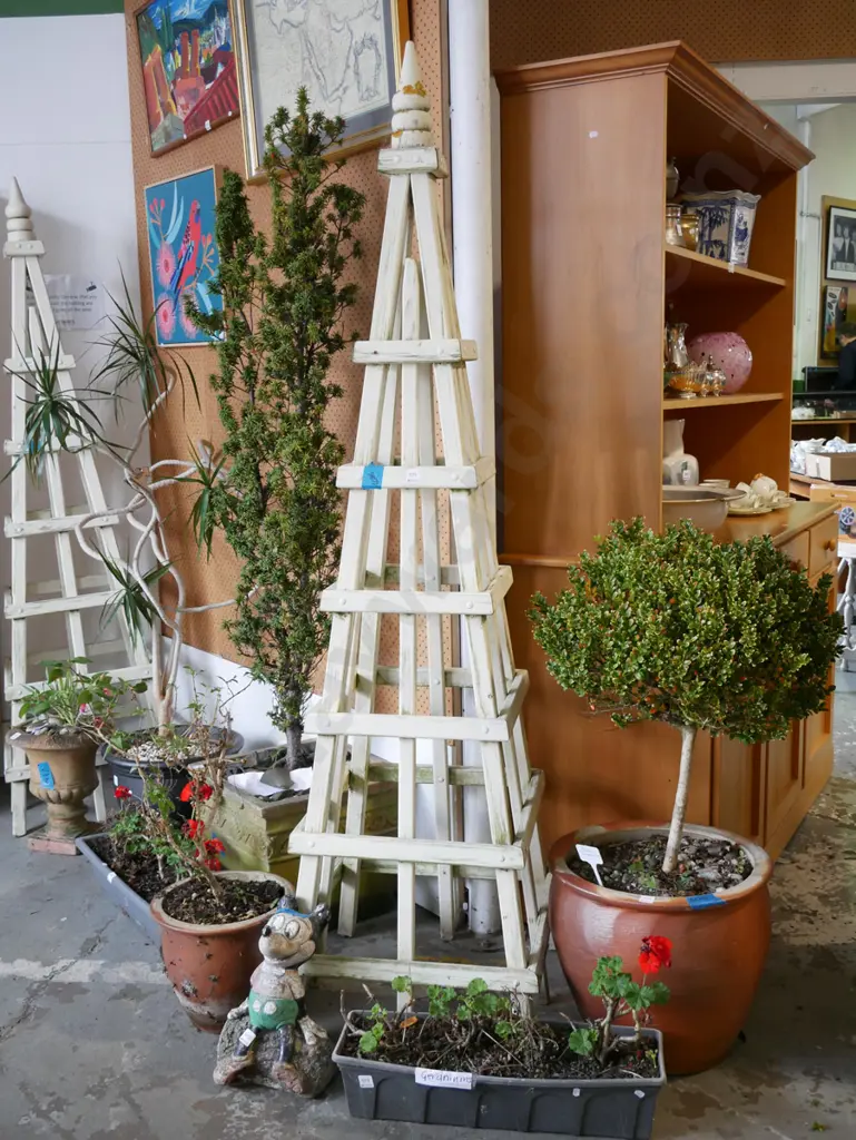 wood plant climbing frame H-2000 Image 1++