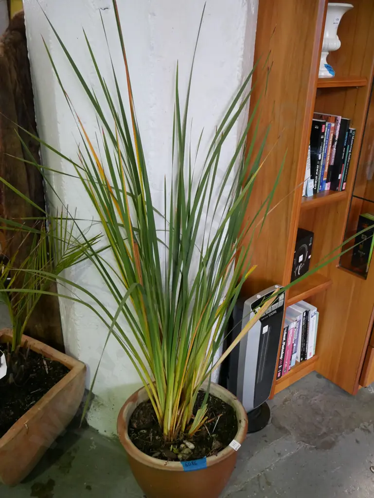 Angels Fishing rod in glazed planter Planter H-330 Image 1++