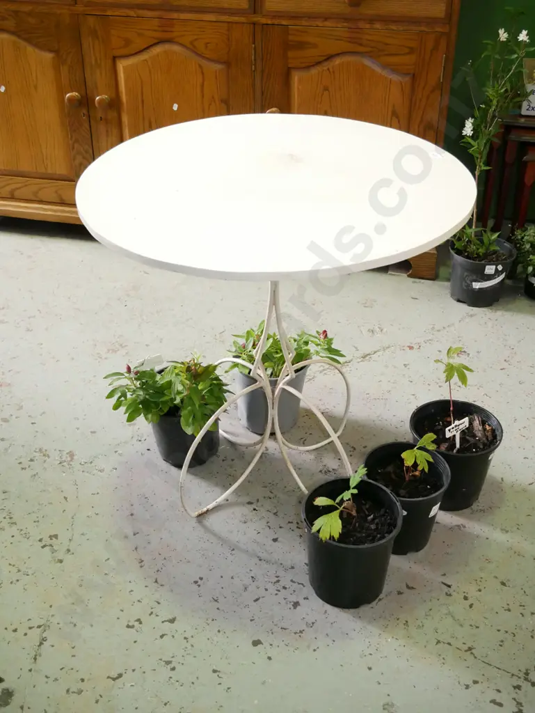 wrought metal pedestal and wood top table H-640 Diam-620 Image 1++