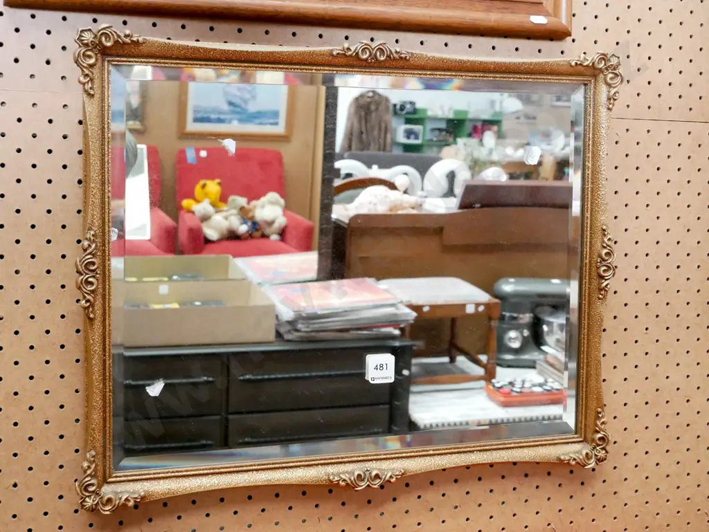 gilt framed mirror Image 1++