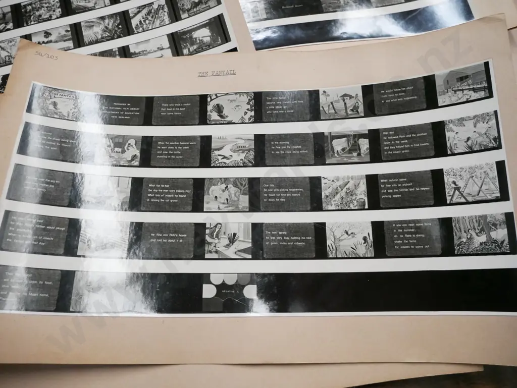 educational film strip index sheets Image 1++