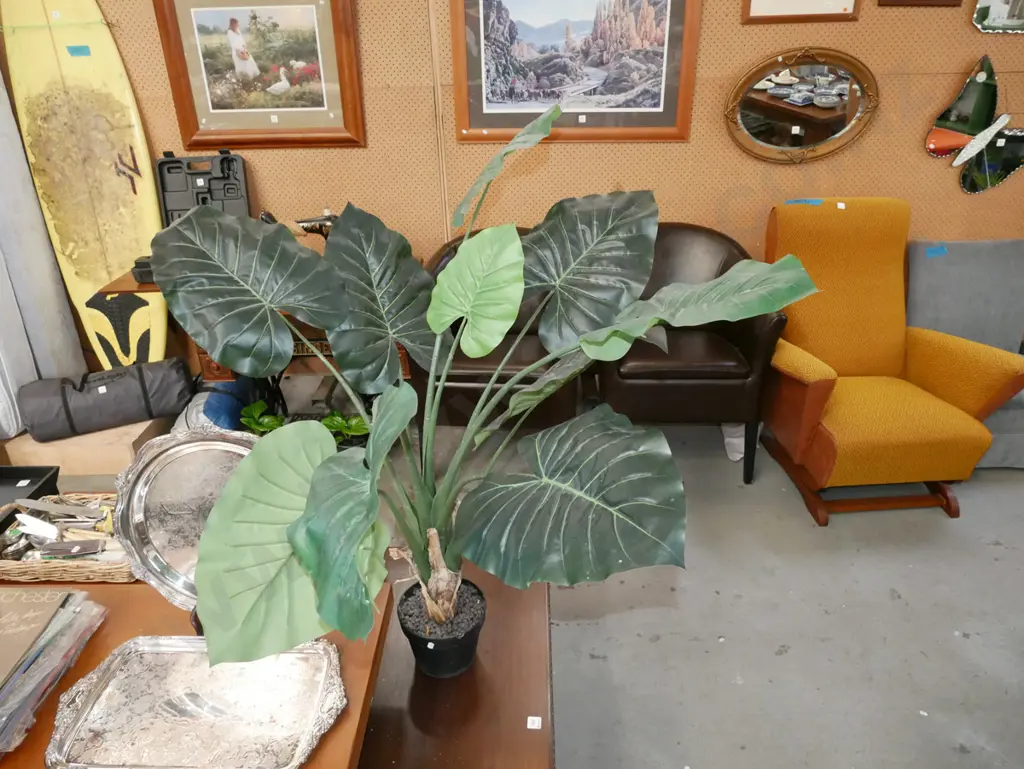 plastic indoor plant Image 1++