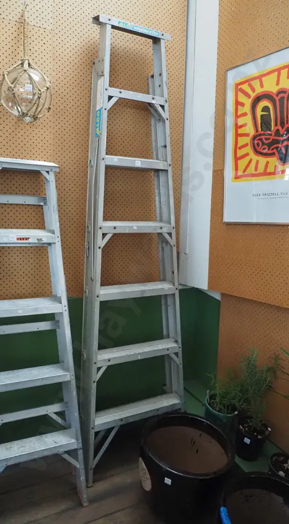 6 step aluminium ladder Image 1++