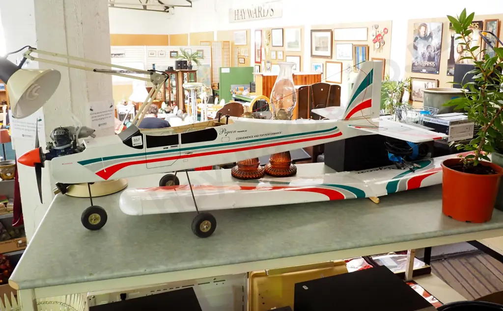 remote control plane - no remote Length-1160 Image 1++