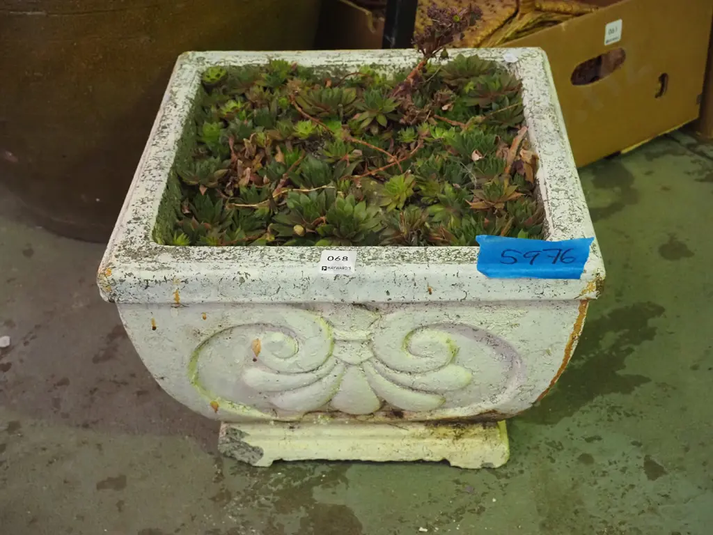 concrete garden planter and succulents Image 1++