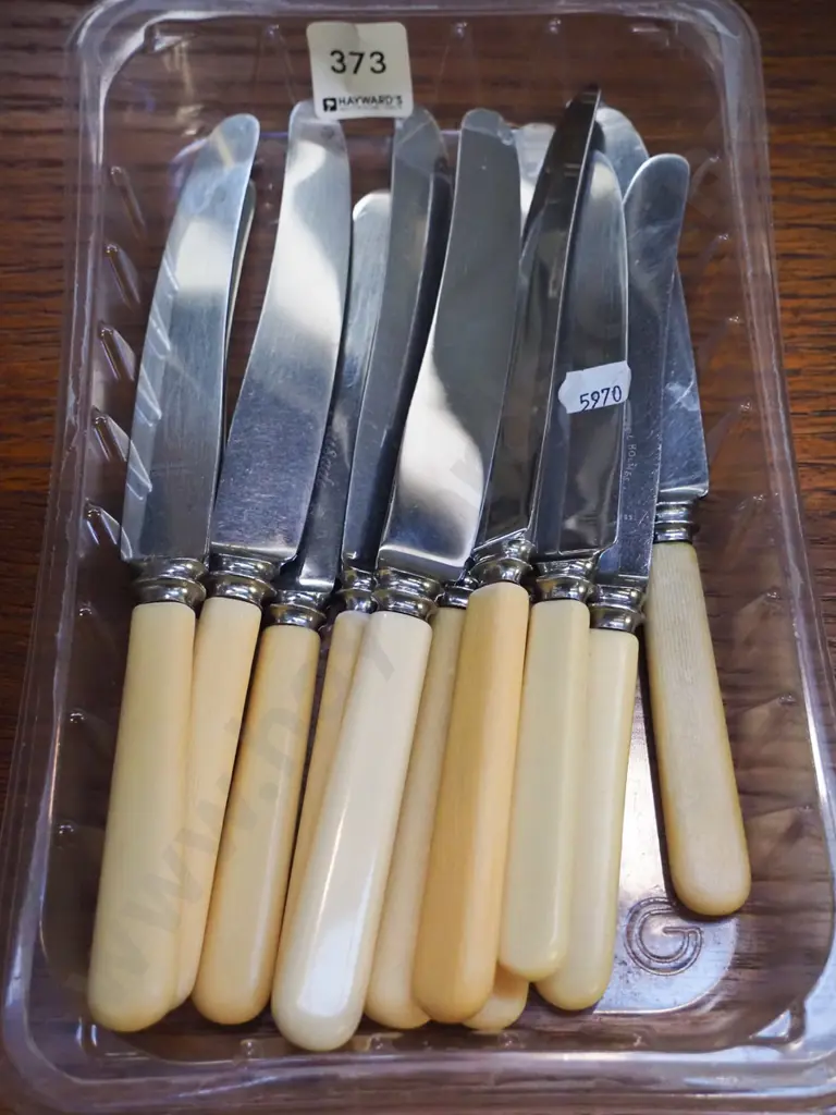 tray of bone handled knives Image 1++