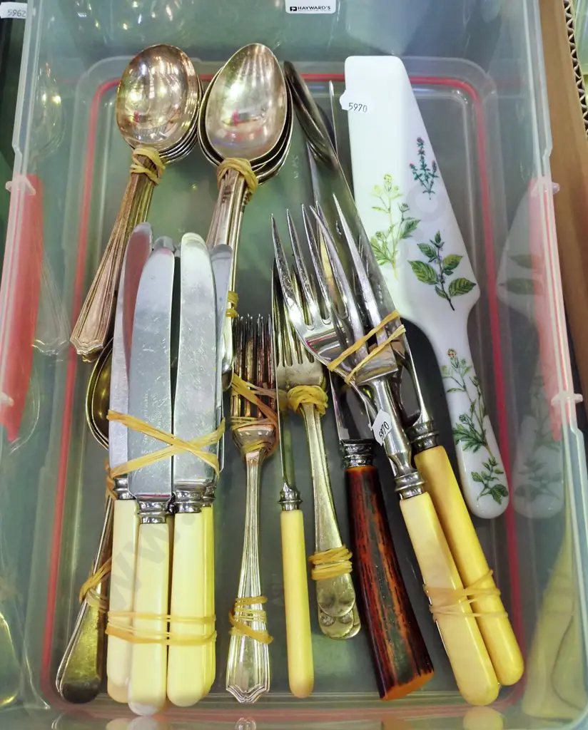 box; bone handled knives, spoons, forks etc Image 1++