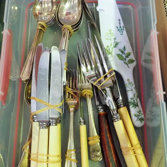 box; bone handled knives, spoons, forks etc