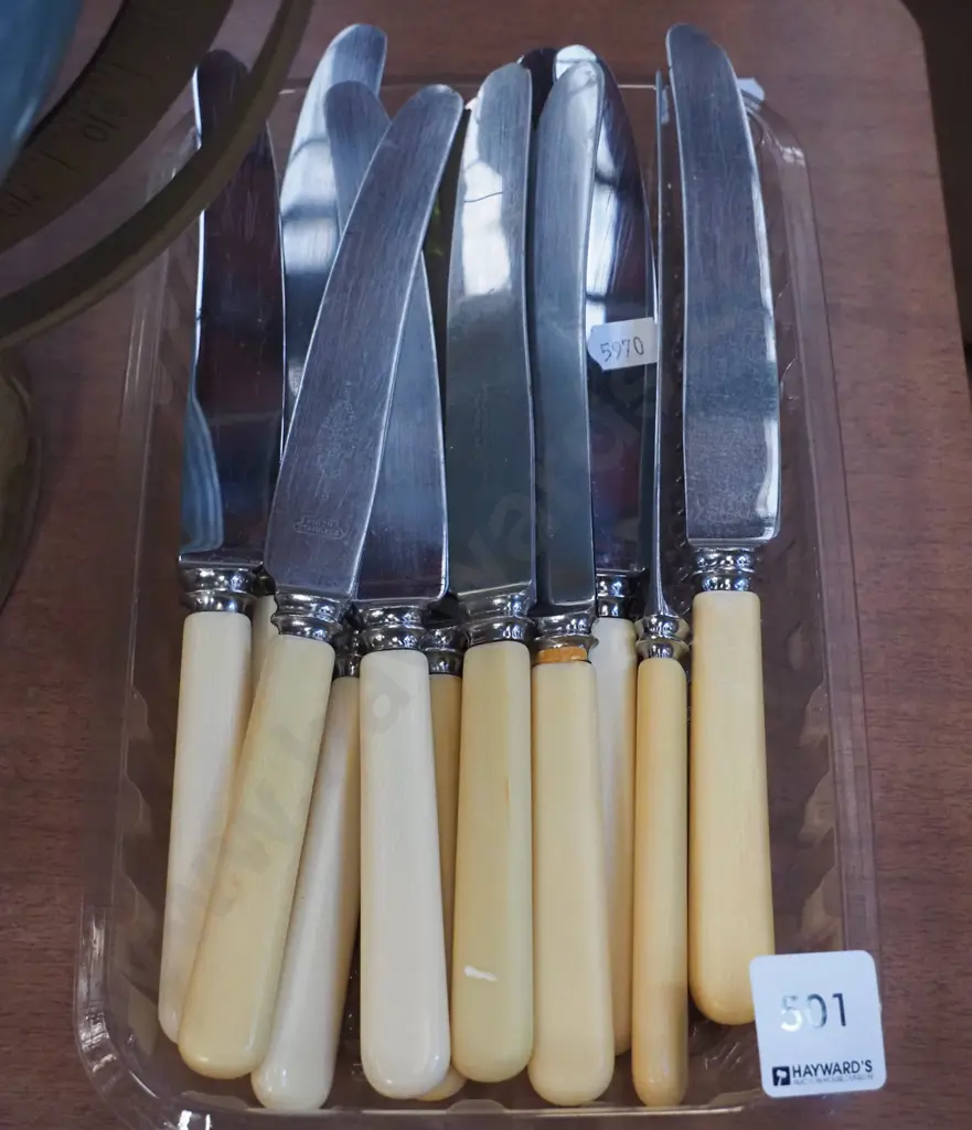 bone handled knives Image 1++