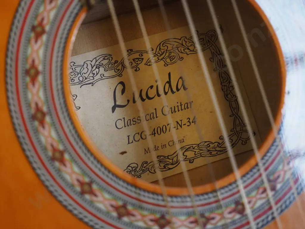 Lucida acoustic guitar Image 1++