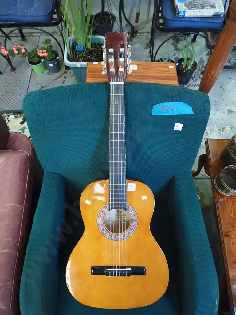 Lucida acoustic guitar Image 1++