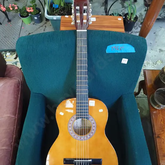 Lucida acoustic guitar