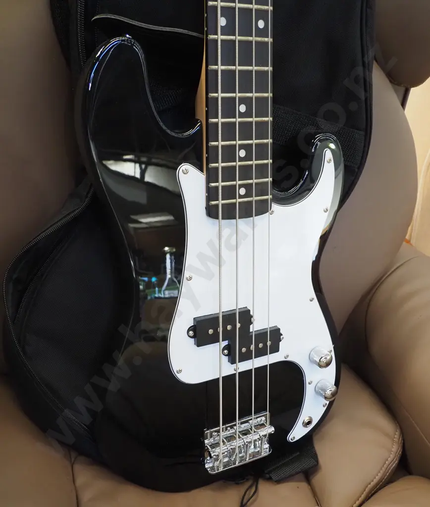 Artist bass guitar with gig bag Image 1++
