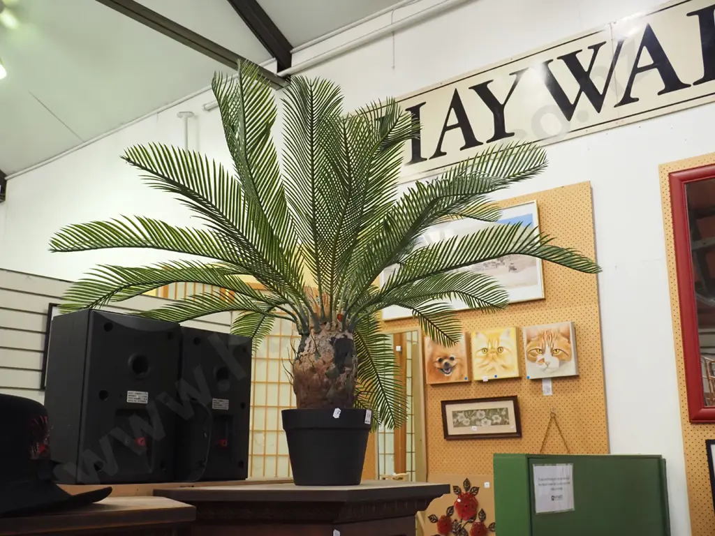 plastic cycad Image 1++