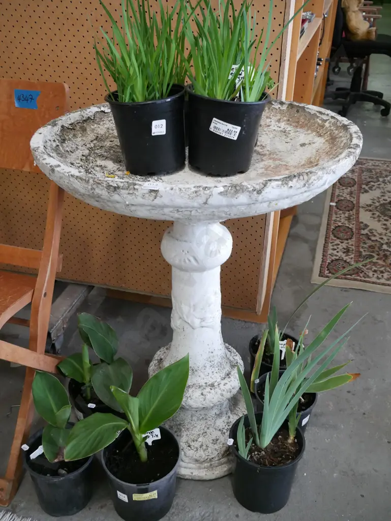 concrete bird bath H-800 Diam-600 Image 1++
