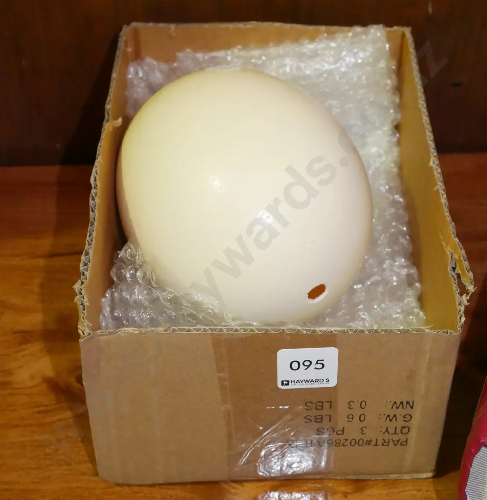 large ostrich egg Image 1++