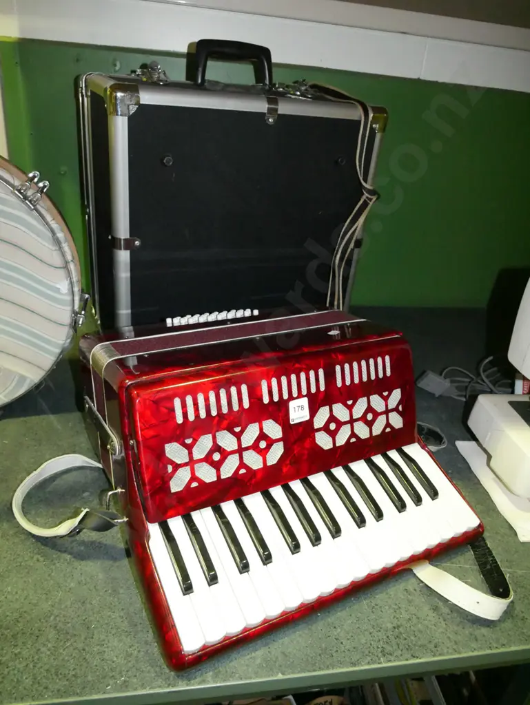 unbranded piano accordion with hard carry case - several sticking keys need attention Image 1++