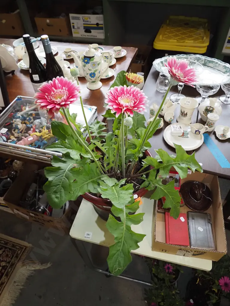 glazed planter with gerbera Image 1++