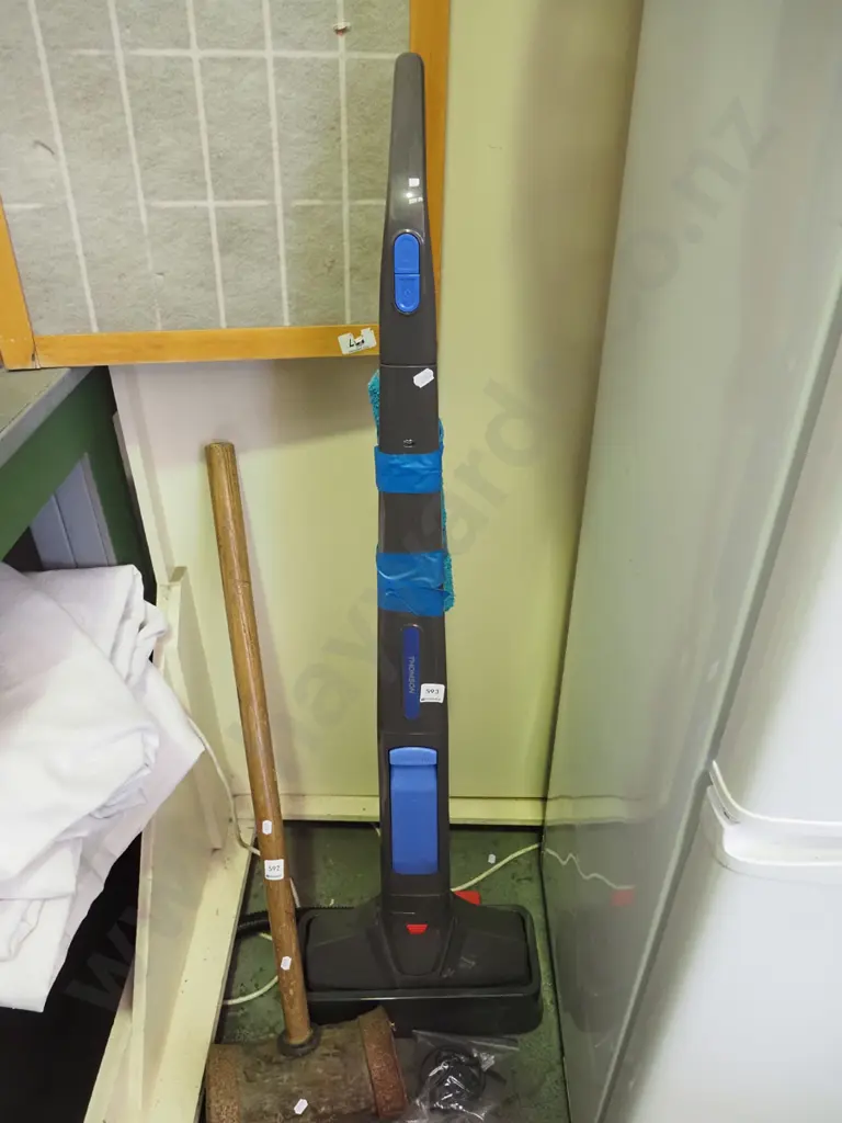 Thomson steam cleaner Image 1++