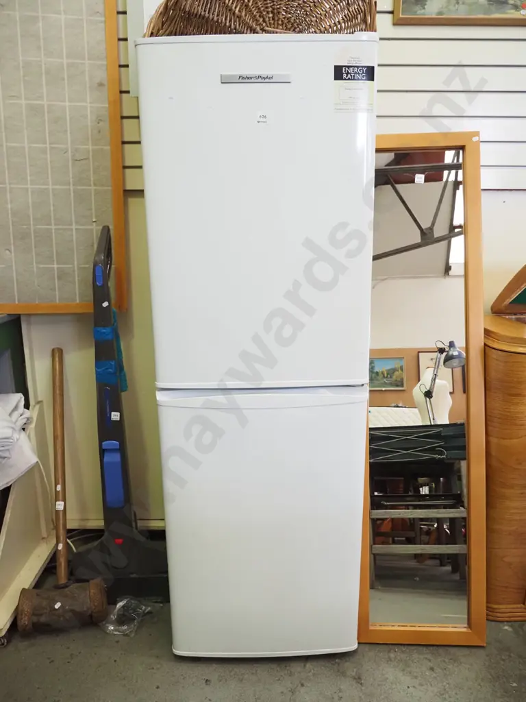 F&P fridge/freezer Image 1++