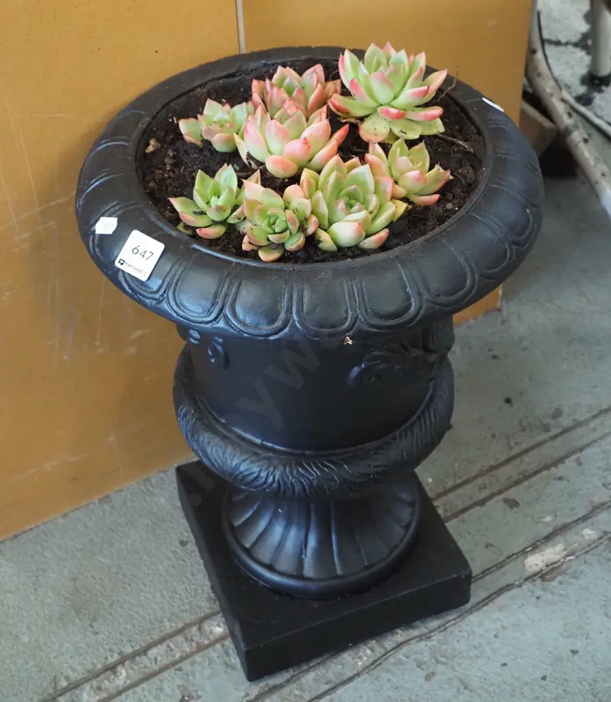 composite planter urn and succulents H-450 Image 1++