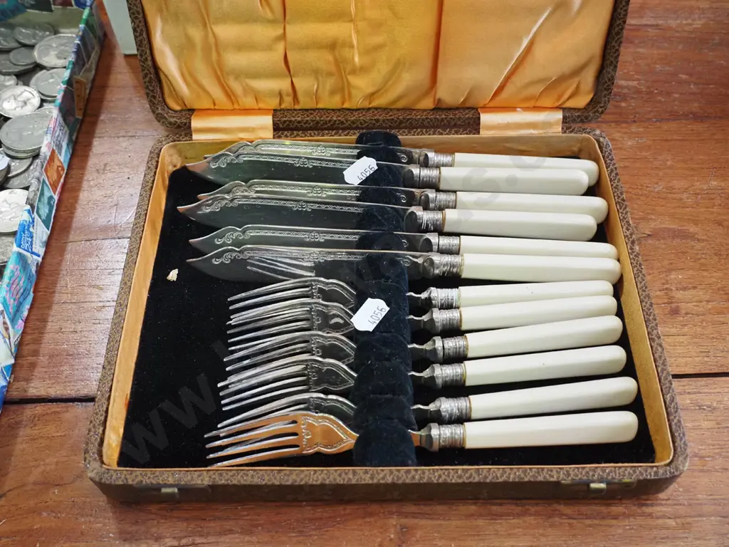 cased bone handed fish set Image 1++
