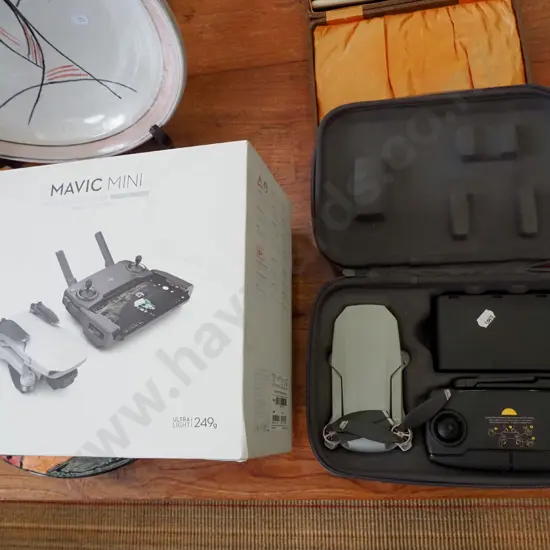 Mavic mini drone