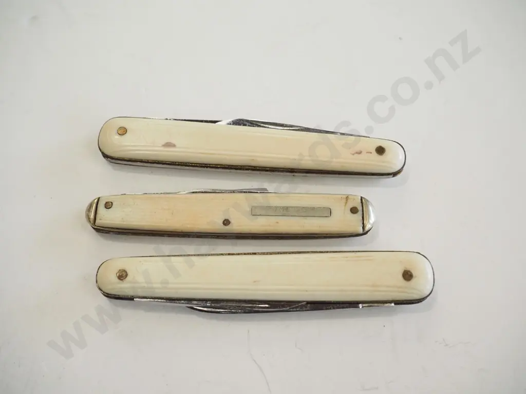 3x bone handled knives Image 1++