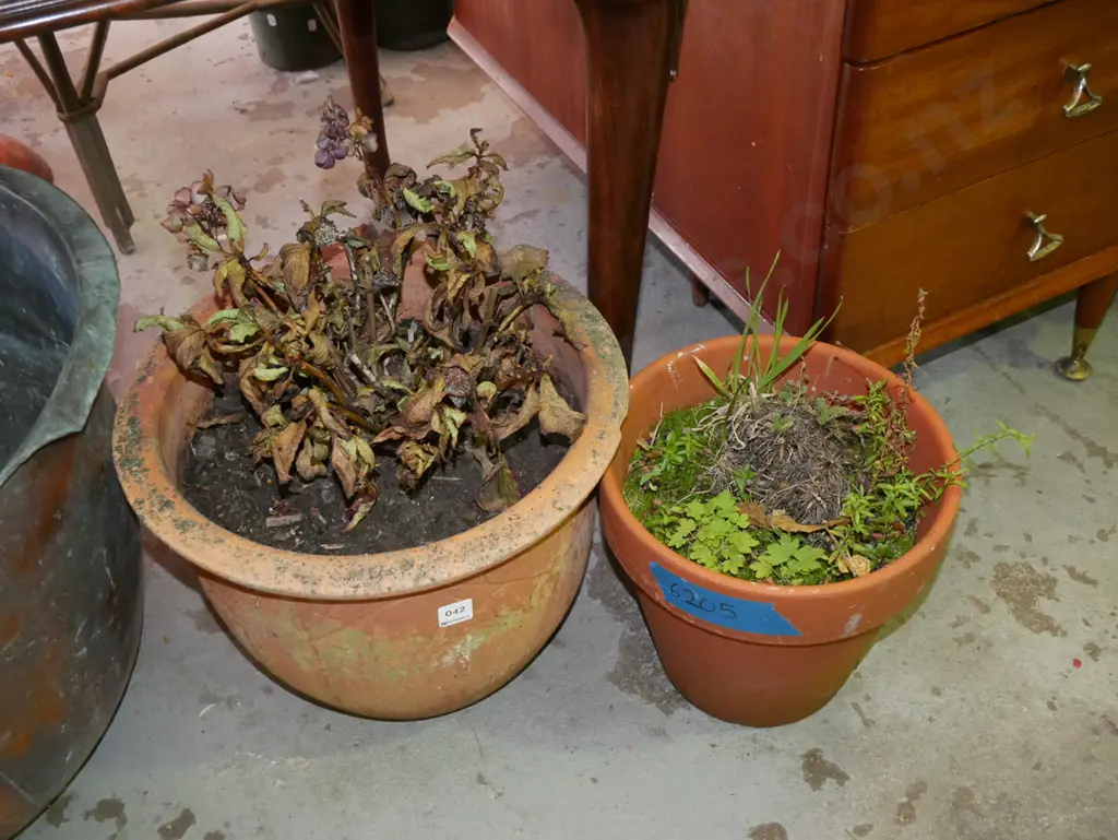 2x terracotta planters  Image 1++