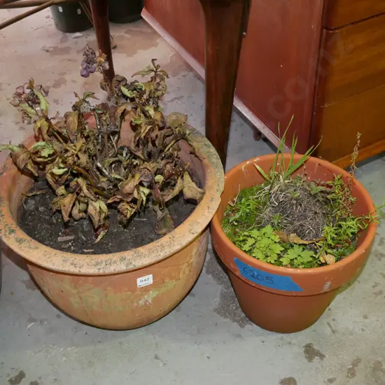 2x terracotta planters 