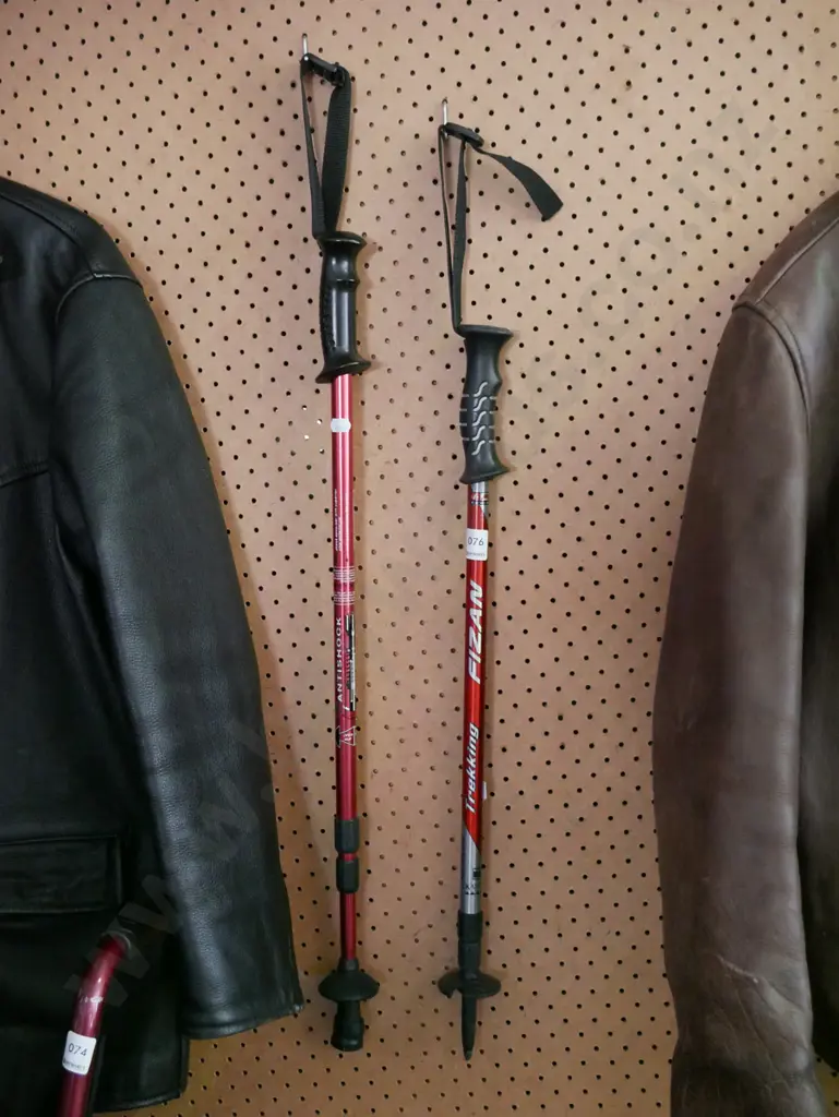 2x walking sticks Image 1++