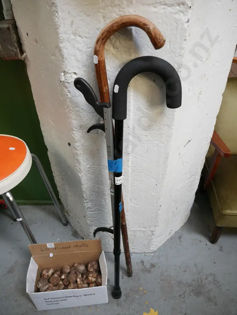2x walking sticks, pick up stick Image 1++