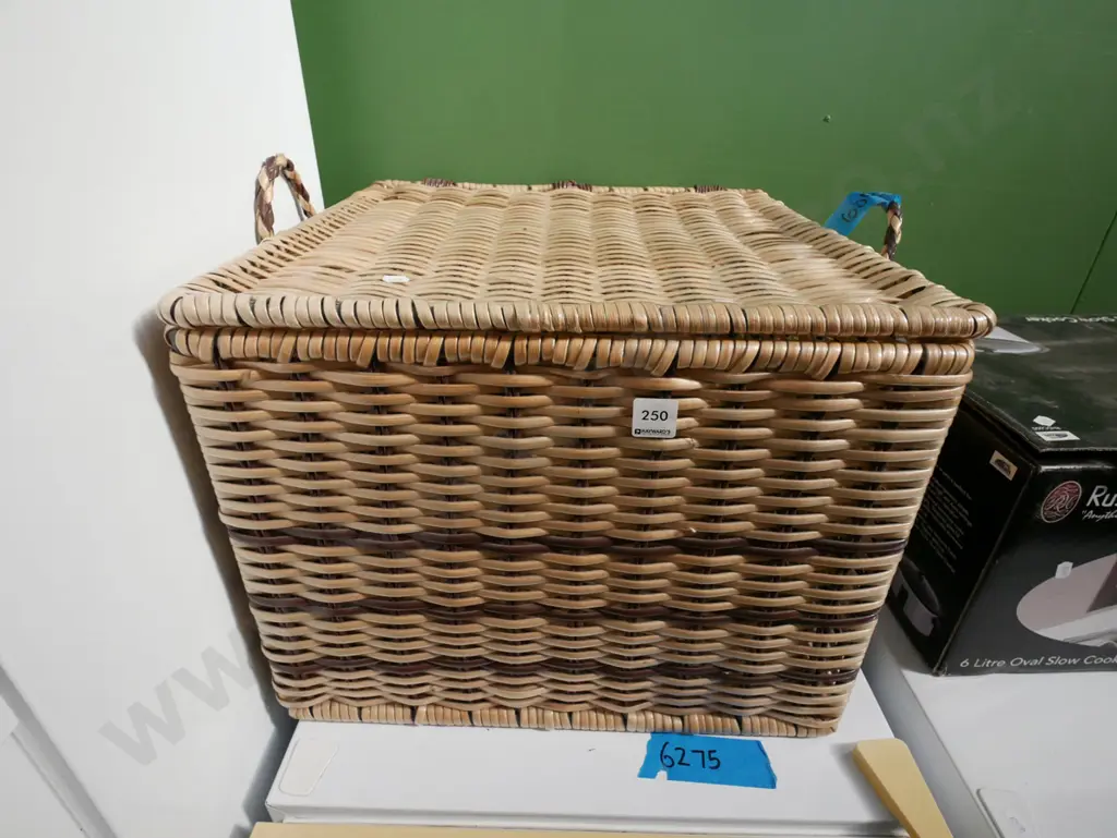 woven plastic cane double handled basket H-360 Image 1++