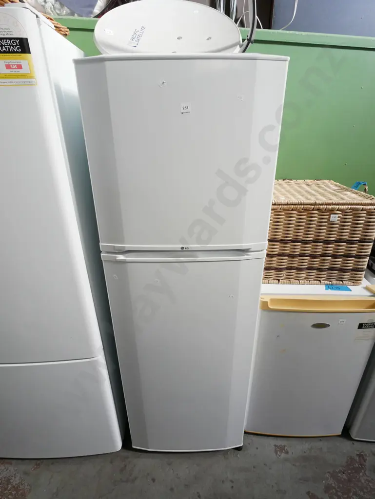 LG fridge/freezer H-1610 W-540 D-560 Image 1++