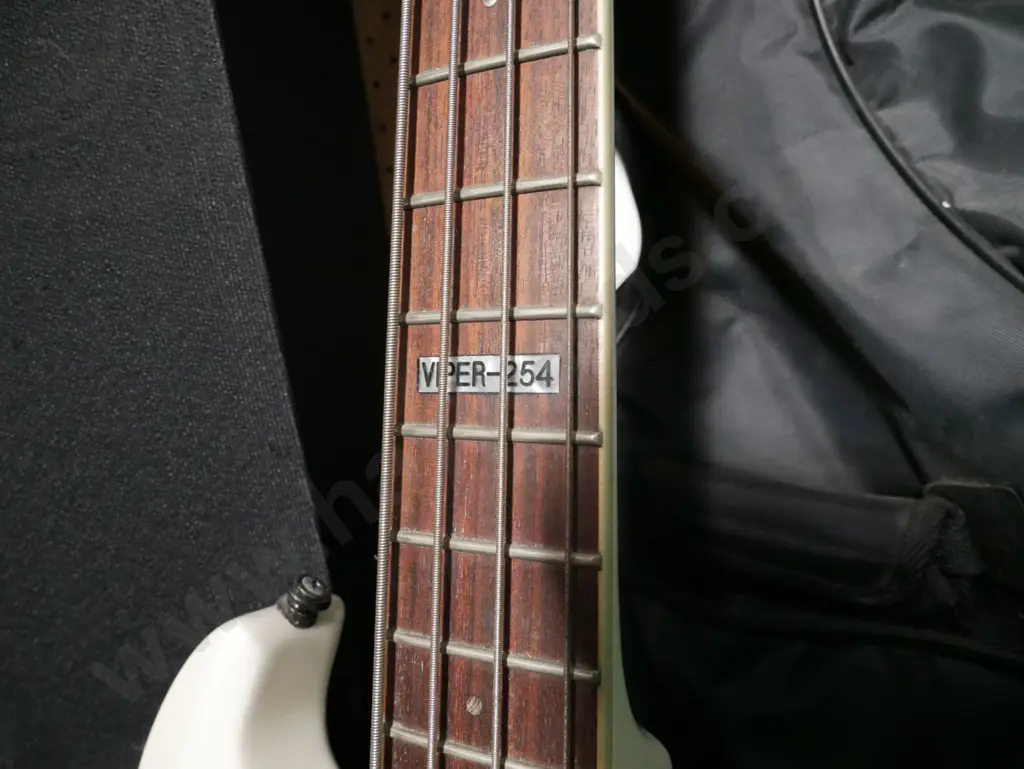 LTD Viper 254 bass guitar - missing one knob Image 1++