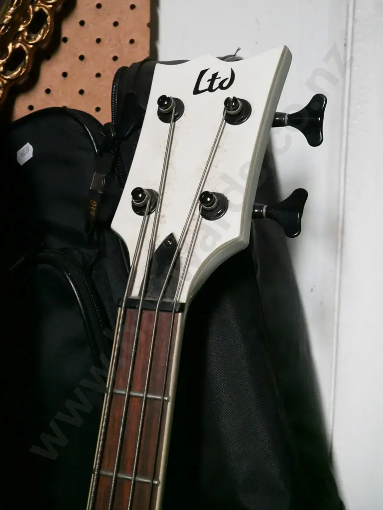 LTD Viper 254 bass guitar - missing one knob Image 1++