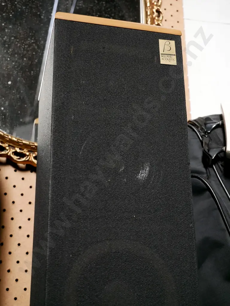 pair of Boland acoustic freestanding floor speakers - fading to 1 speaker  Image 1++