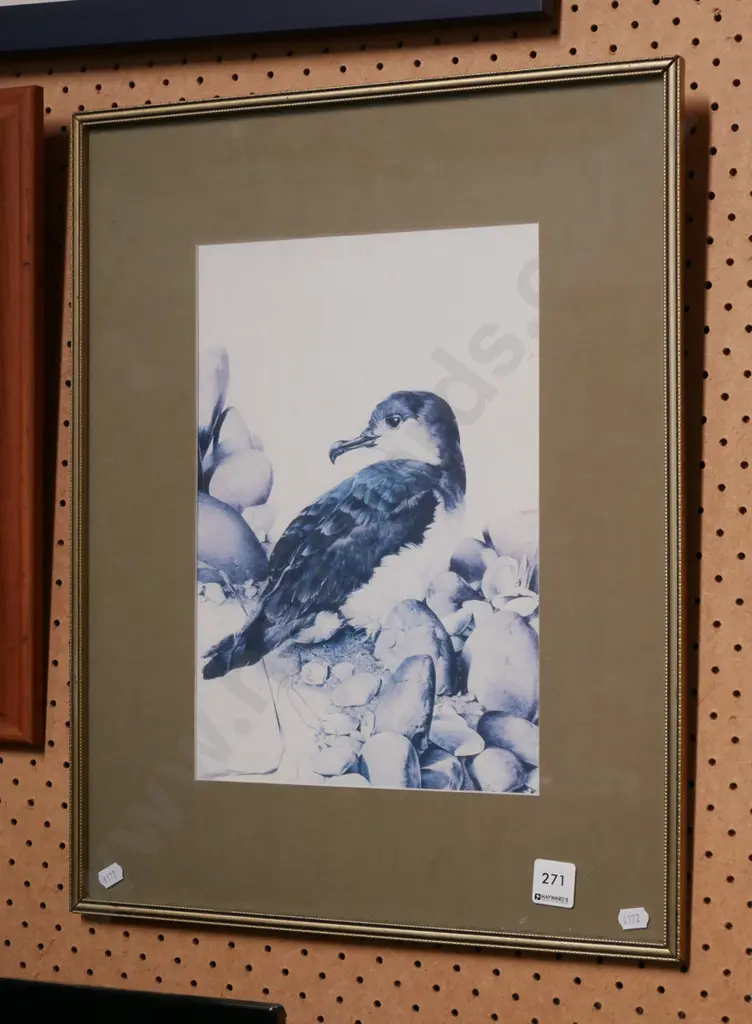 framed faded bird print  Image 1++