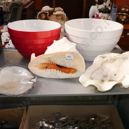 3x seashells