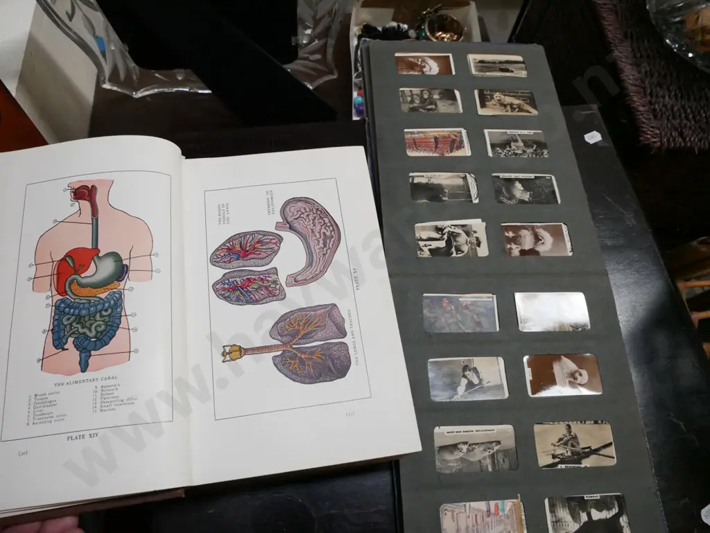 Home Physician and 3 Castles cigarette album Image 1++
