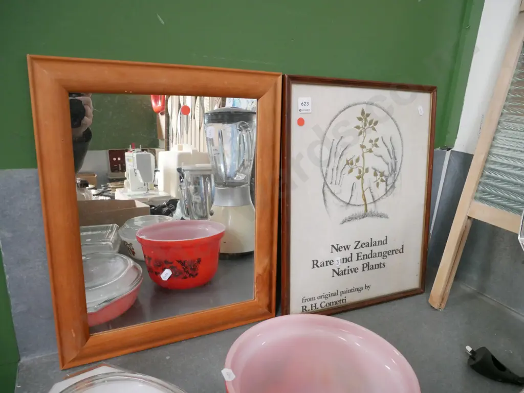 small wood framed mirror, framed NZ Rare and Endangered Native Plants print - red dots Image 1++