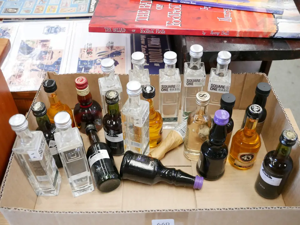 box of spirit miniatures Image 1++