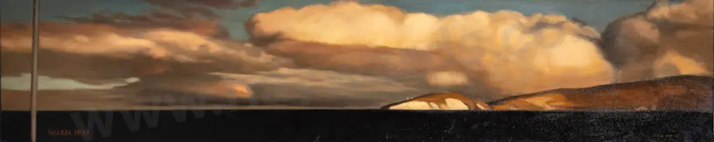 Philip Maxwell 2007 - boxed oil on canvas "Taiaroa Head Otago" H-200 W-1100 Image 1++