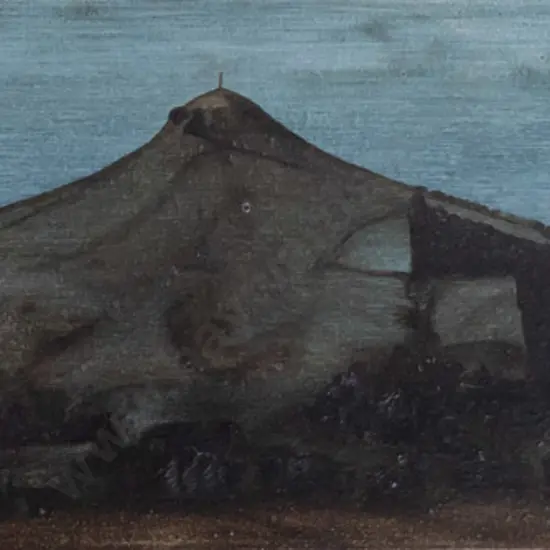 Scott McFarlane '03 - boxed oil on canvas "Puketapu" H-240 W-850