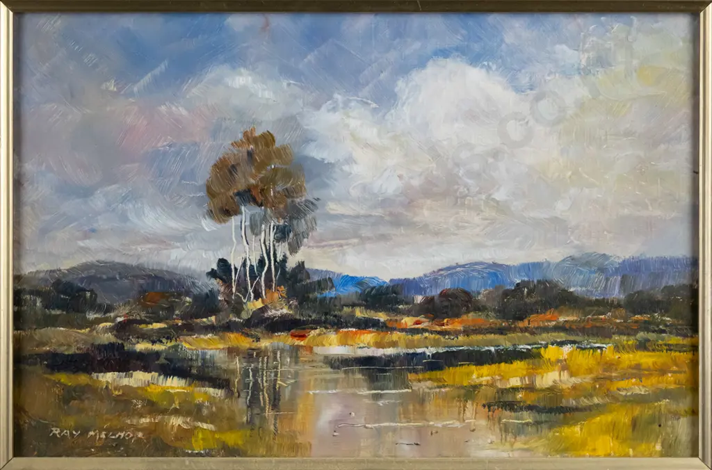 Ray Melhop - framed oil "Duck pond Southland" H-190 W-290 Image 1++